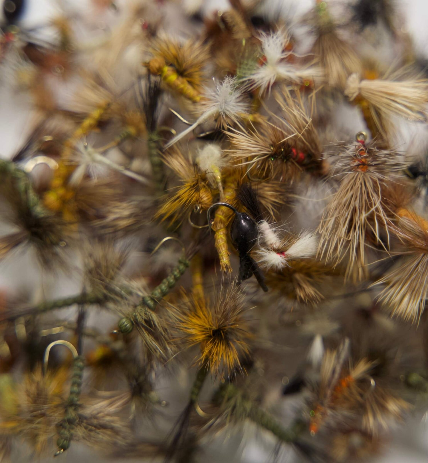 Fly Assortment